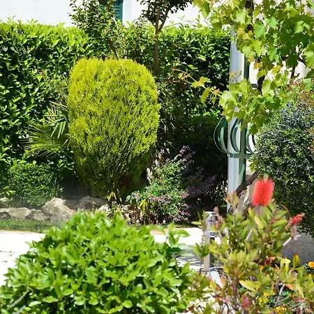 Apartament Sara